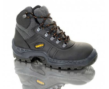 Botin de Seguridad OMBU