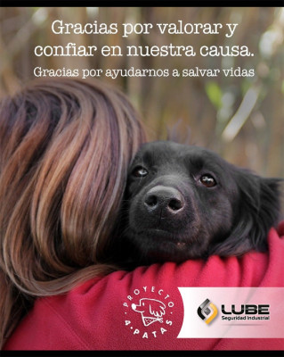Comprometidos con P4P